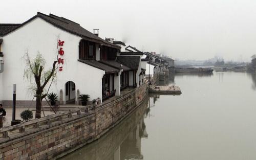 可爱兔子营救